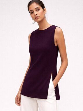 Aritzia Babaton Wade Tunic Top